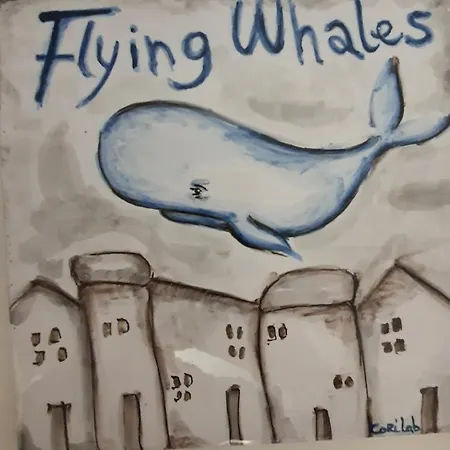 Flying Whales Apartamento Syracuse